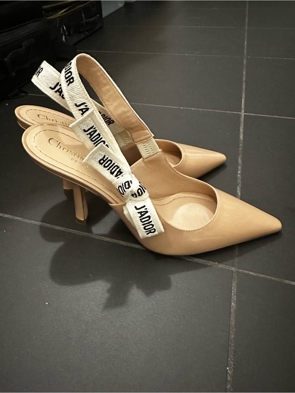 Dior Beige Pointed-Toe Slingback Heels with J'Adior Strap